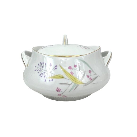 Bohemian Vintage Porcelain Soup Tureen With Lid & Handles Floral Design White & - Picture 1 of 8